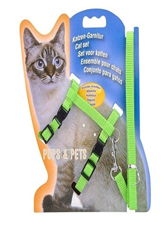 Pups&Pets طقم مقود نايلون من Pups&Pets مع حزام كامل للجسم للقطط، قابل للتعديل ومتين، مناسب للمشي مع الحيوانات الأليفة الصغيرة - أخضر - Image 1